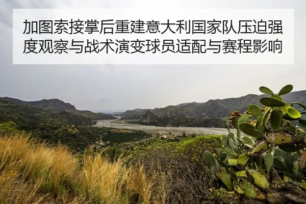 jia-tu-suo-jie-zhang-hou-chong-jian-yi-da-li-guo-jia-dui-ya-po-qiang-du-guan-cha-yu-zhan-shu-yan-bian-qiu-yuan-shi-pei-2-803.jpg
